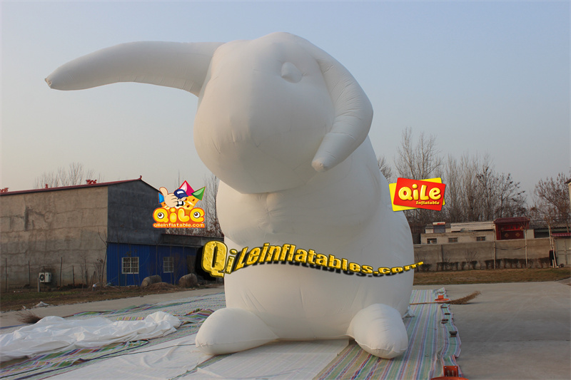 QILE-C012