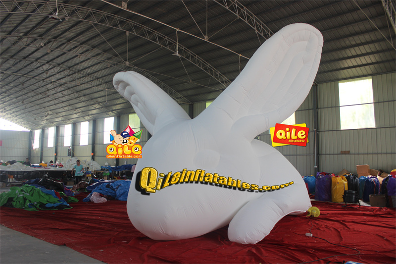QILE-C017