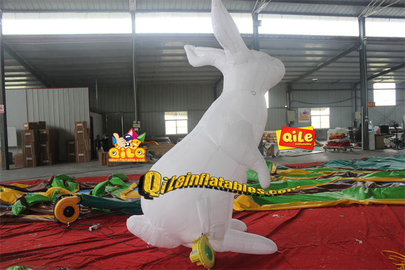 QILE-C018
