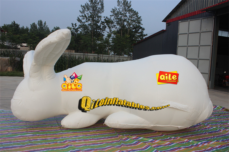 QILE-C019