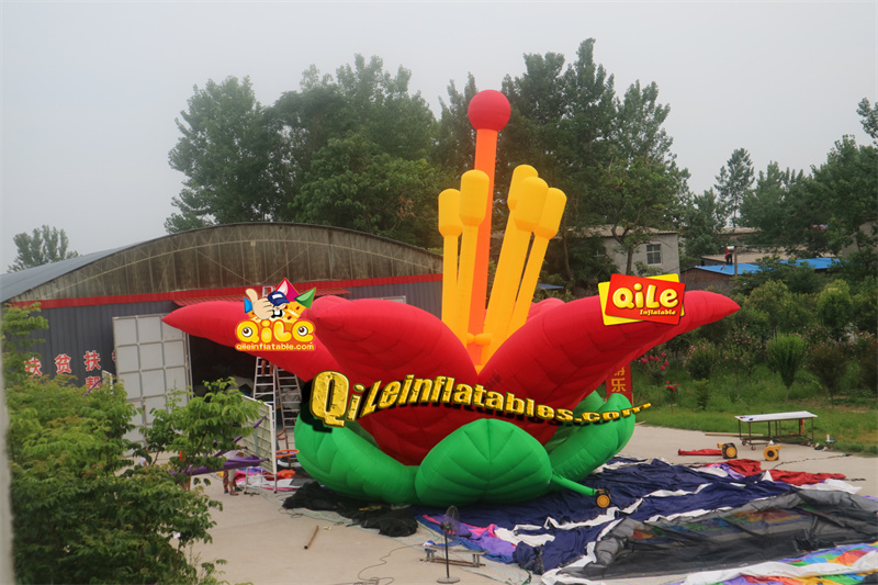 QILE-C028