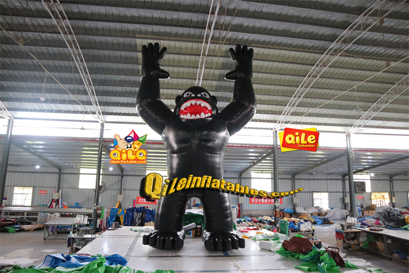 QILE-C029