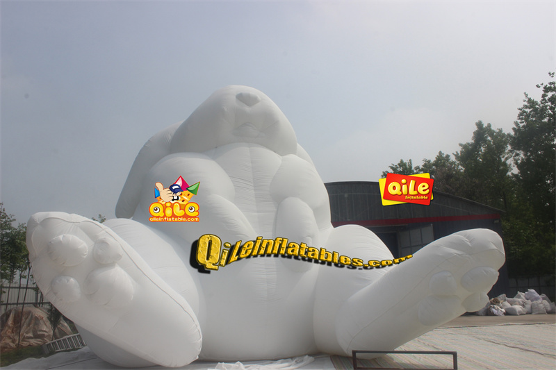 QILE-C058