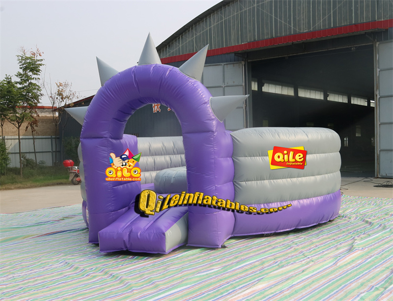 QILE-G255