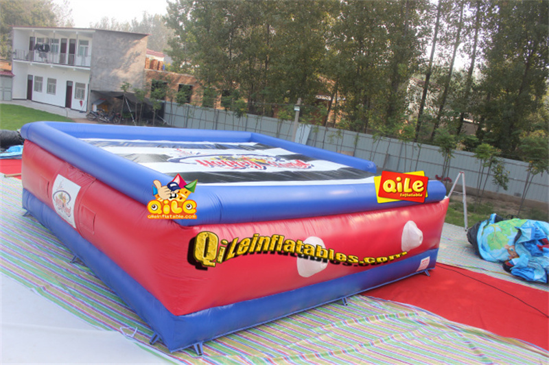 QILE-G271