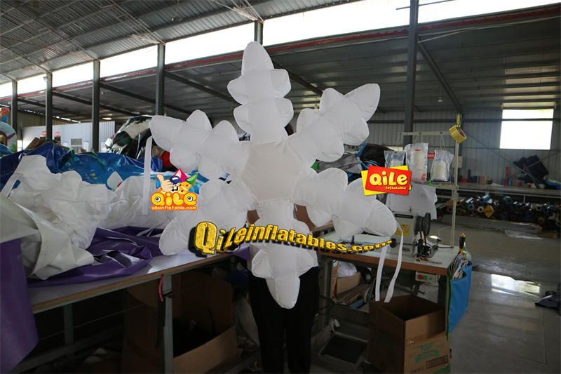 QILE-C066