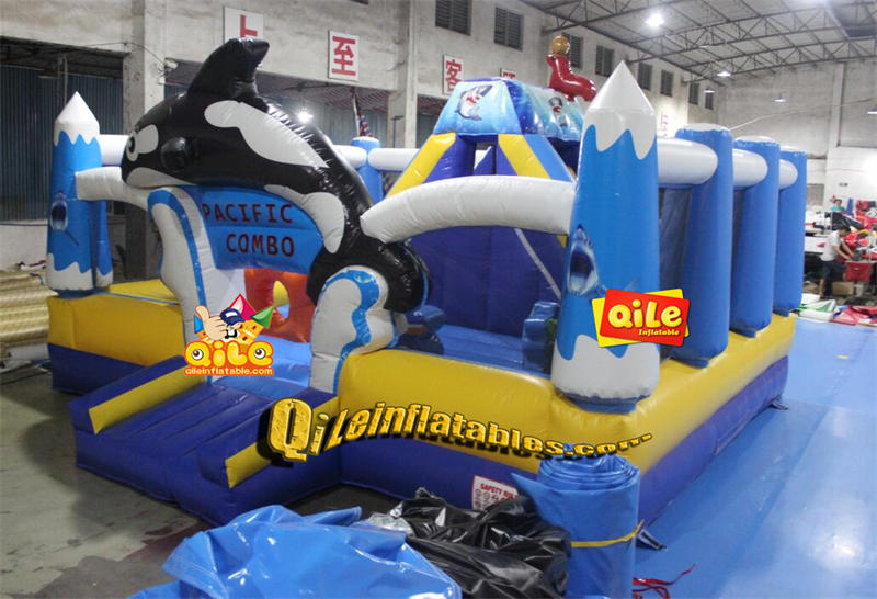 QILE-IP055