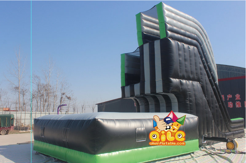 QILE-G310