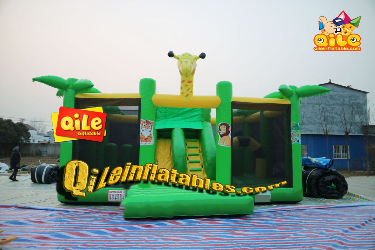 QILE2022011