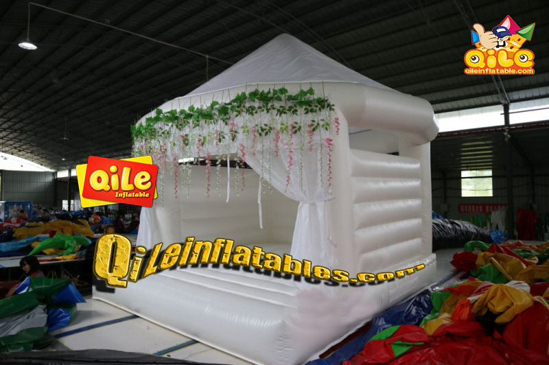 QILE-B100
