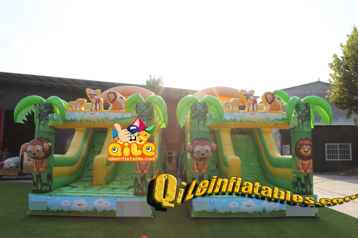 QILE202411705