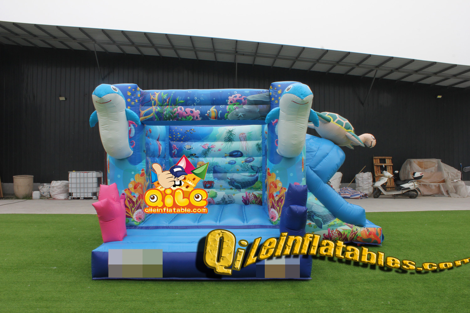 QILE202410603