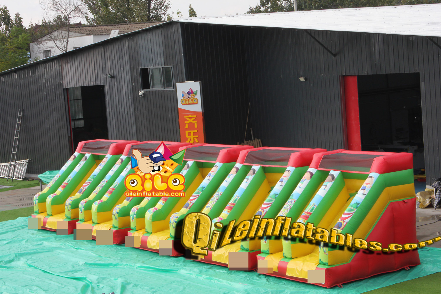 QILE2410016