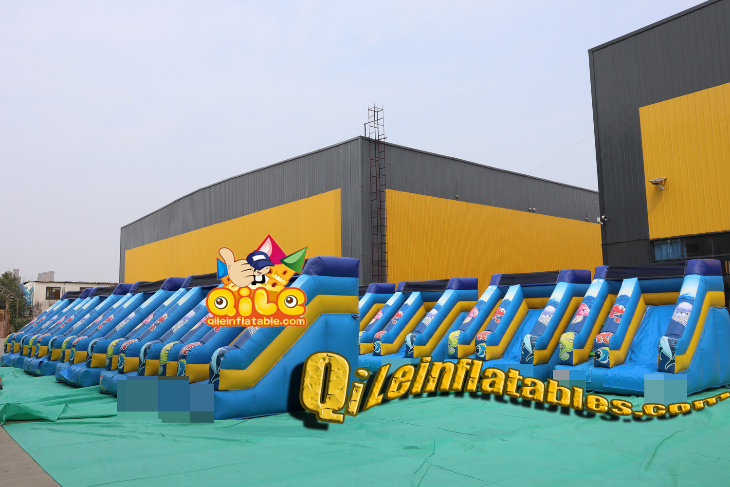 QILE2410013