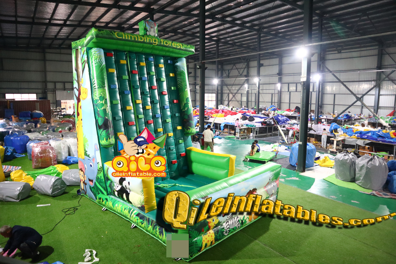 QILE2410028
