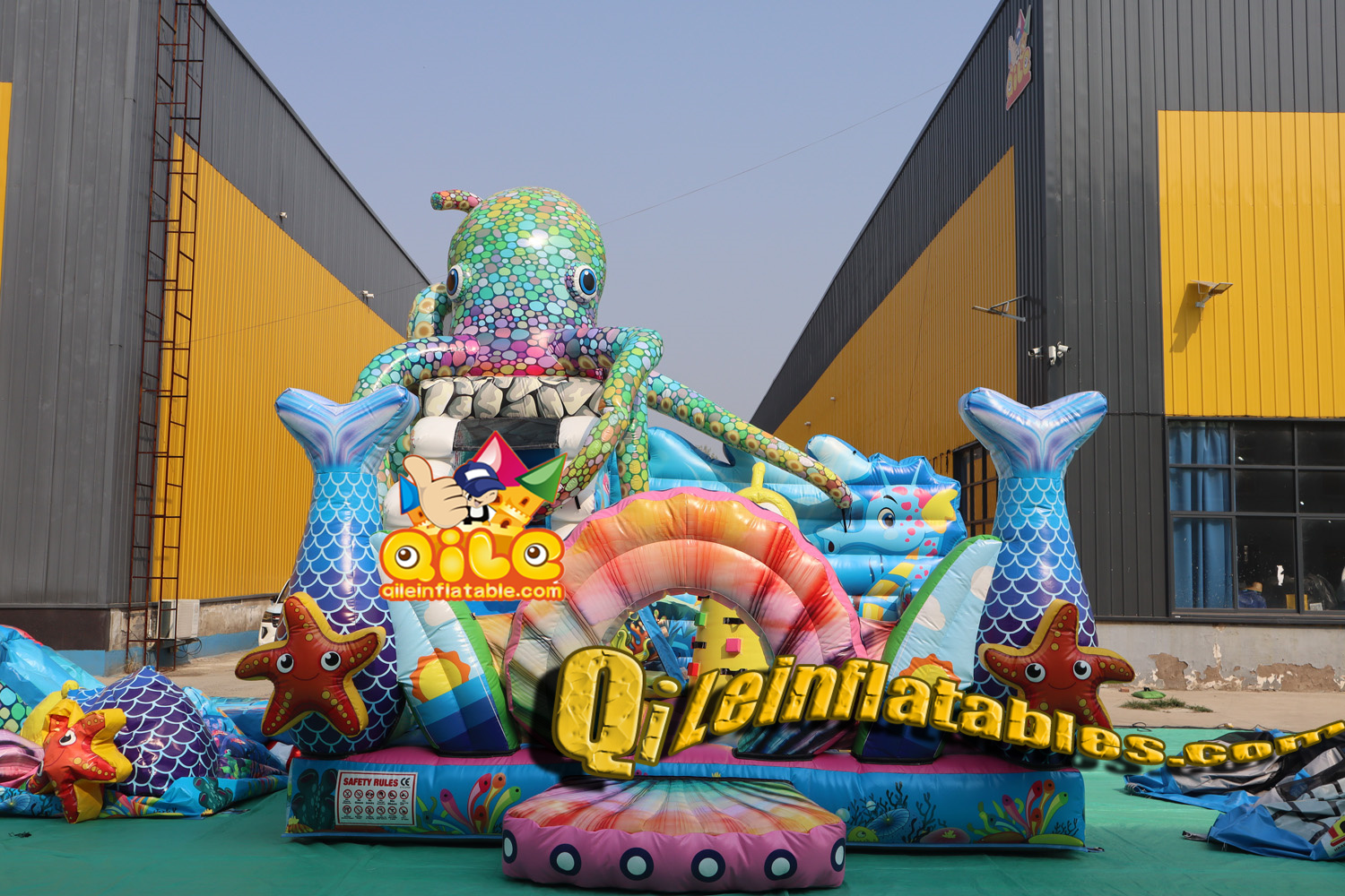 QILE2416701