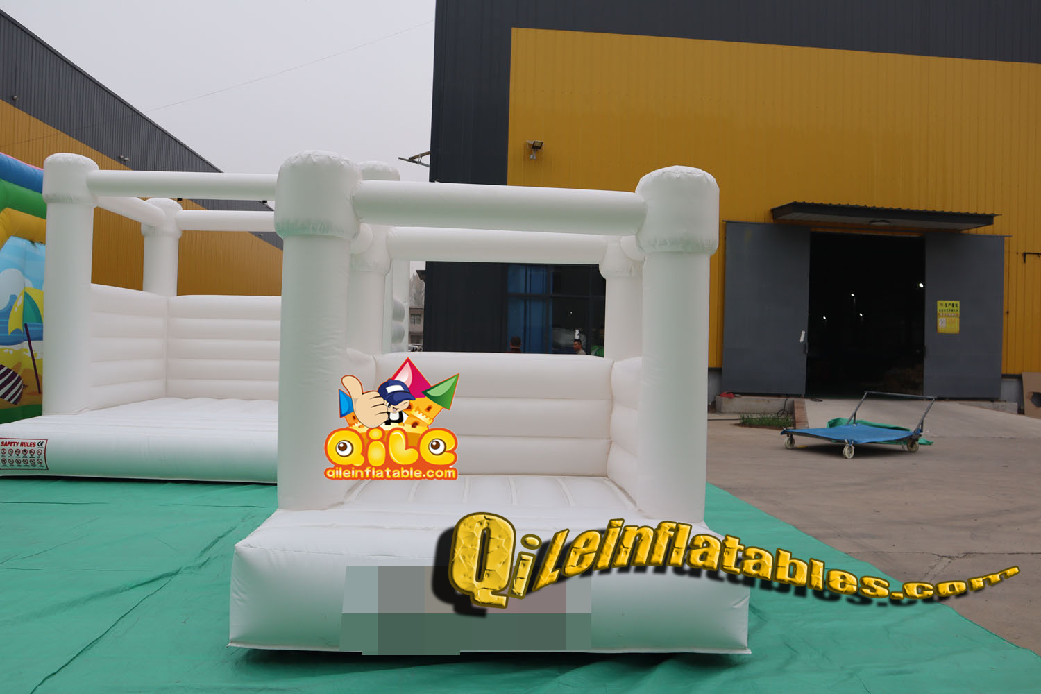 QILE2415502