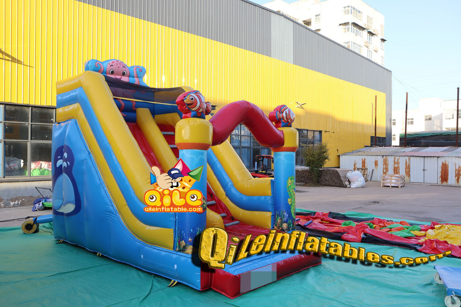 QILE202417904