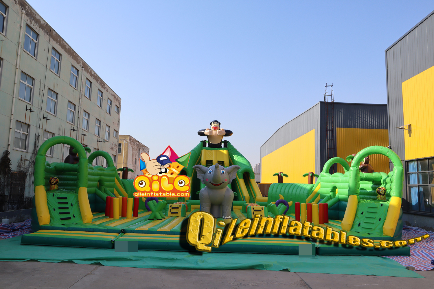 QILE202413504