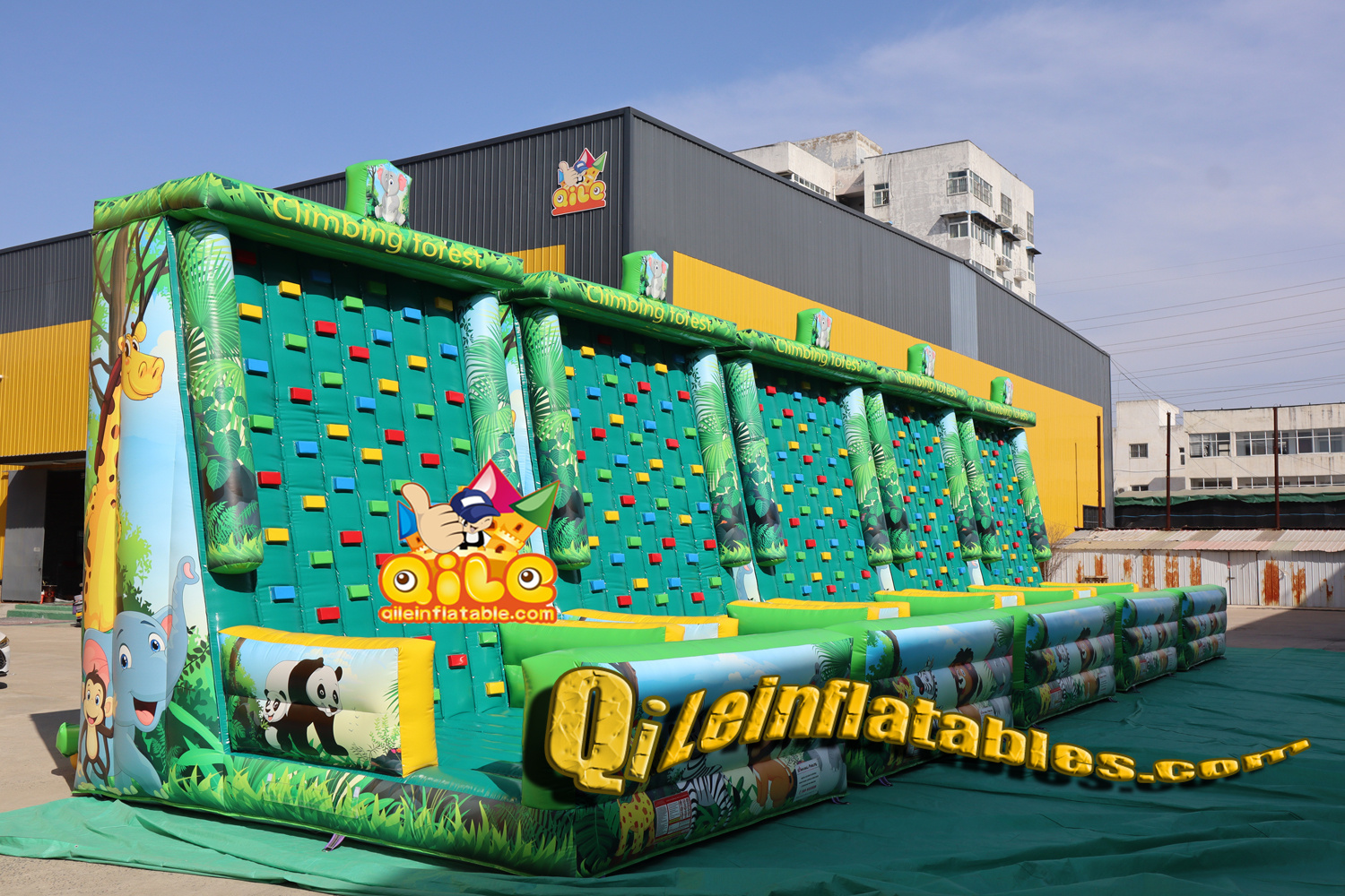 QILE2501303